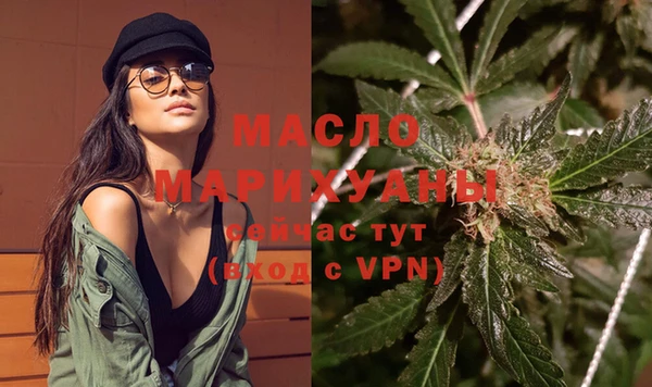 крисы Няндома