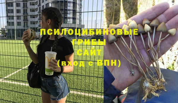 винт Армянск