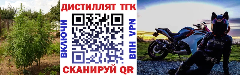 купить наркотики цена  Междуреченск  Дистиллят ТГК THC oil 